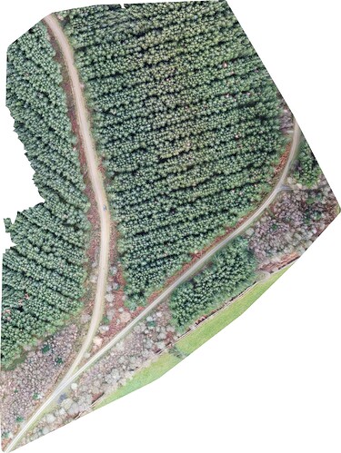 orthophoto (02_02_21)