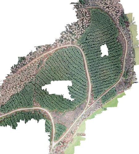 Llanferres-12-24-2021-orthophoto_resize