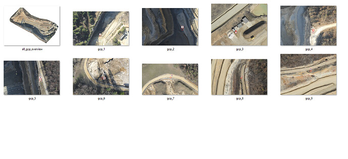 dataset