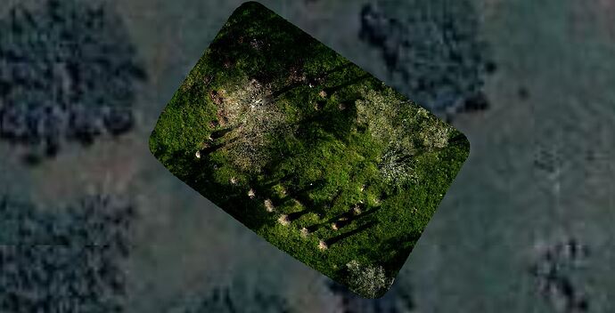 430114548_10220837217800070_855277540125397598_n