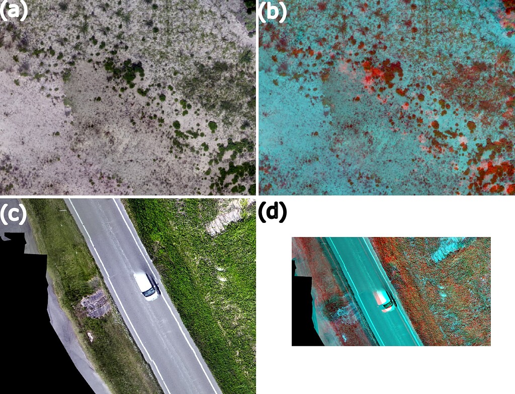 Misalignment between Bands in Mavic 3M multispectral images