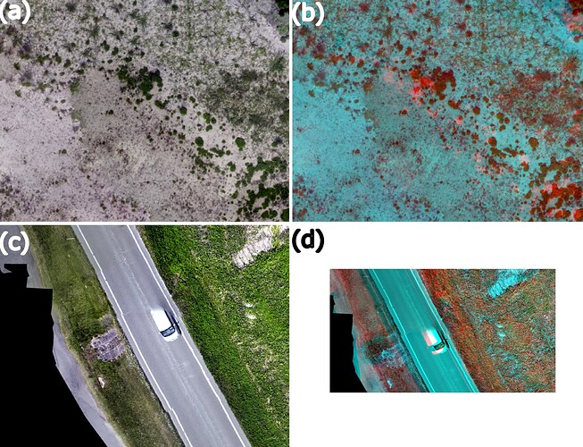 Mavic3M_Multispectral