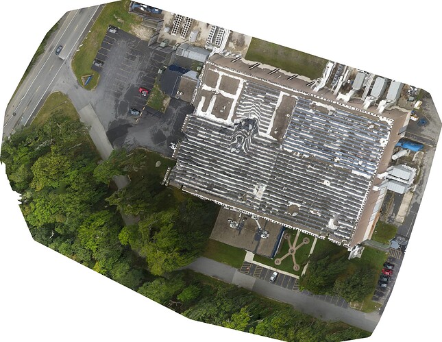 odm_orthophoto