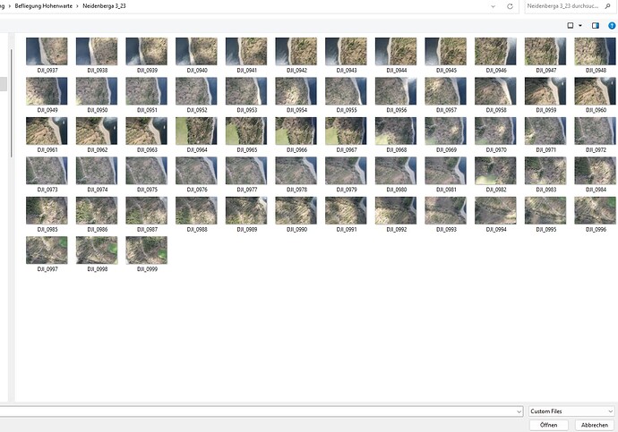 Custom files ? (only showing some images - WebODM - OpenDroneMap Community