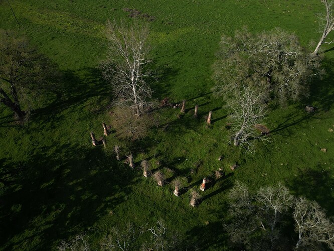 429828812_10220837216960049_6713924747309743377_n