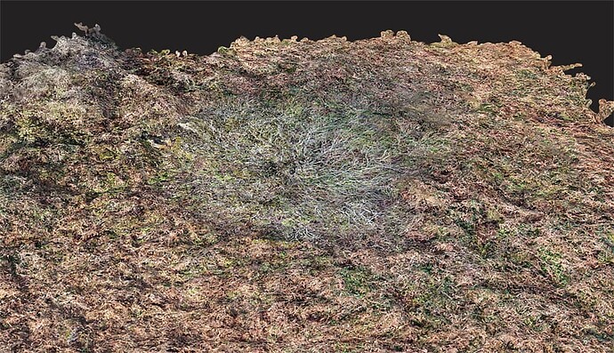 Flattened 3D model