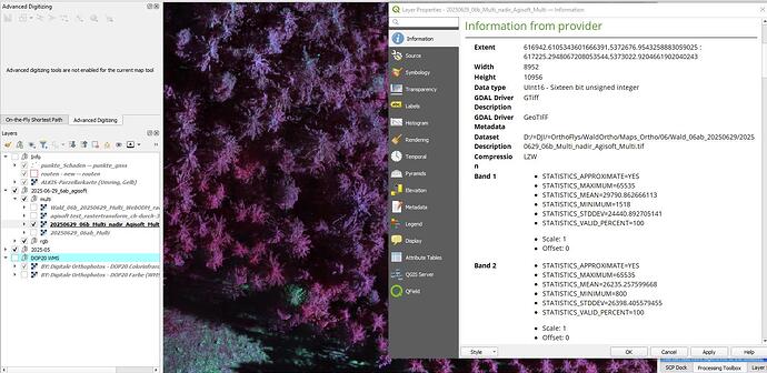 3Agisoft_noSunSensor2