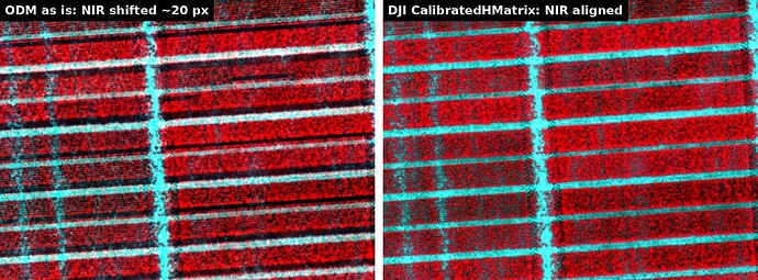False-colour (NIR-R-G) crop of the orthophoto, same 20 × 15 m area