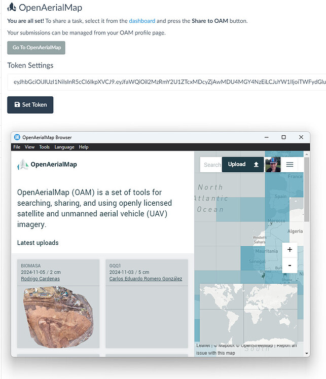 OAM plugin error - WebODM - OpenDroneMap Community