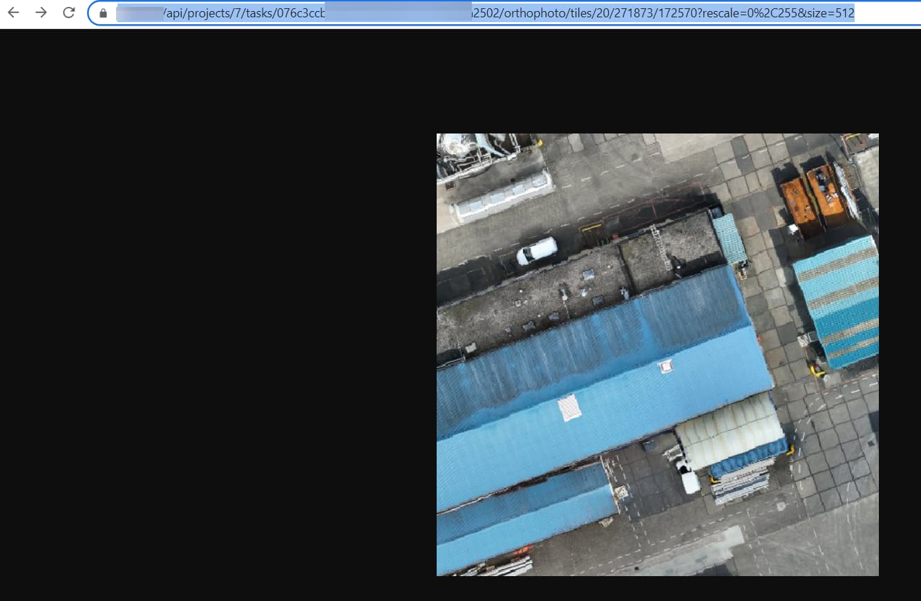 Can't get the Orthophoto TMS layer - OpenDroneMap Desktop ...
