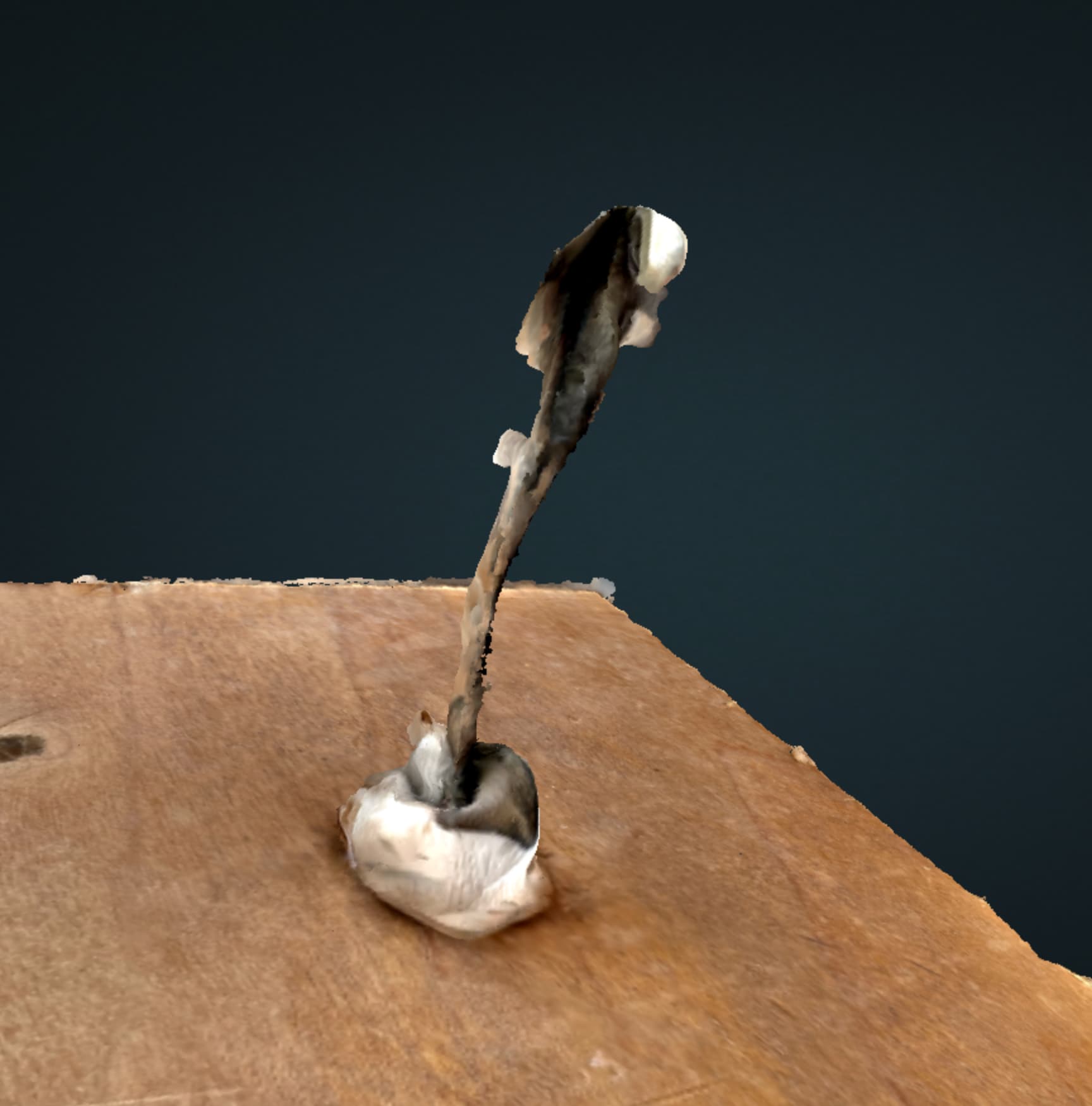 modelling-small-objects-webodm-opendronemap-community