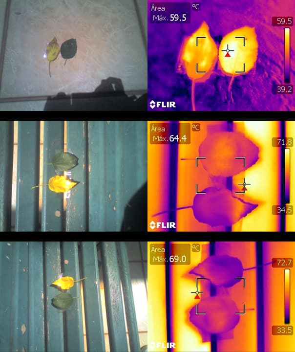 Plant Healthy - NDVI based on RGB Image - General Help - OpenDroneMap ...